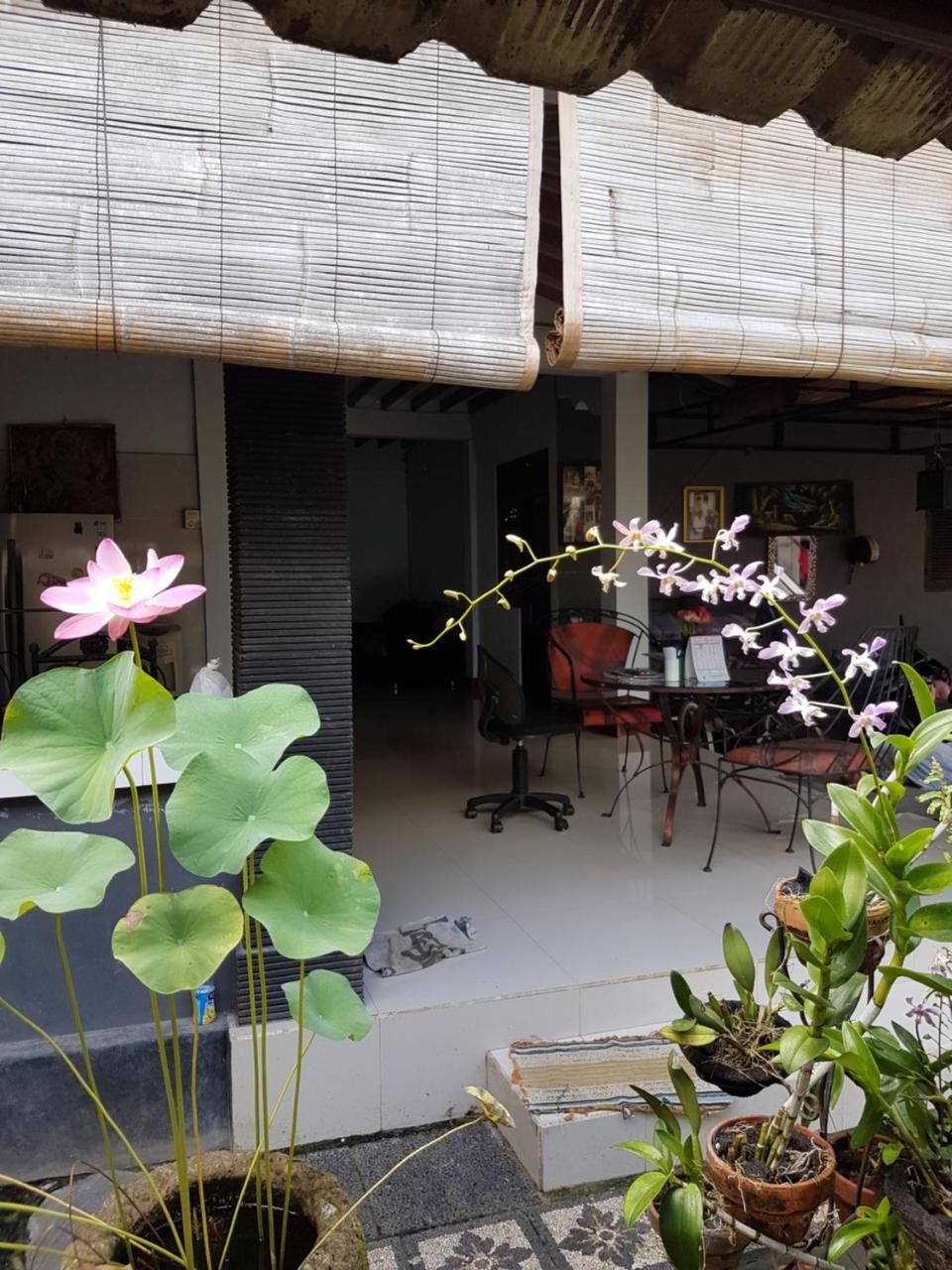 Mawar Homestay Canggu Экстерьер фото